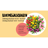 De 5e editie van de “Tulpenpluktuin” BloemrijkSchagen komt eraan!