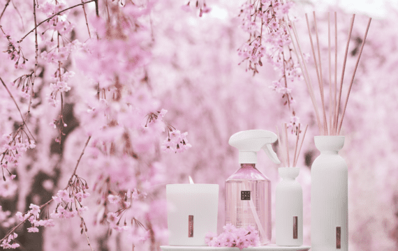 Thumbnail for news post `New Store Opening at Makado Schagen!`