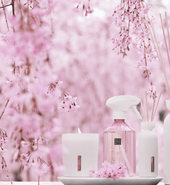 Thumbnail for news post `New Store Opening at Makado Schagen!`